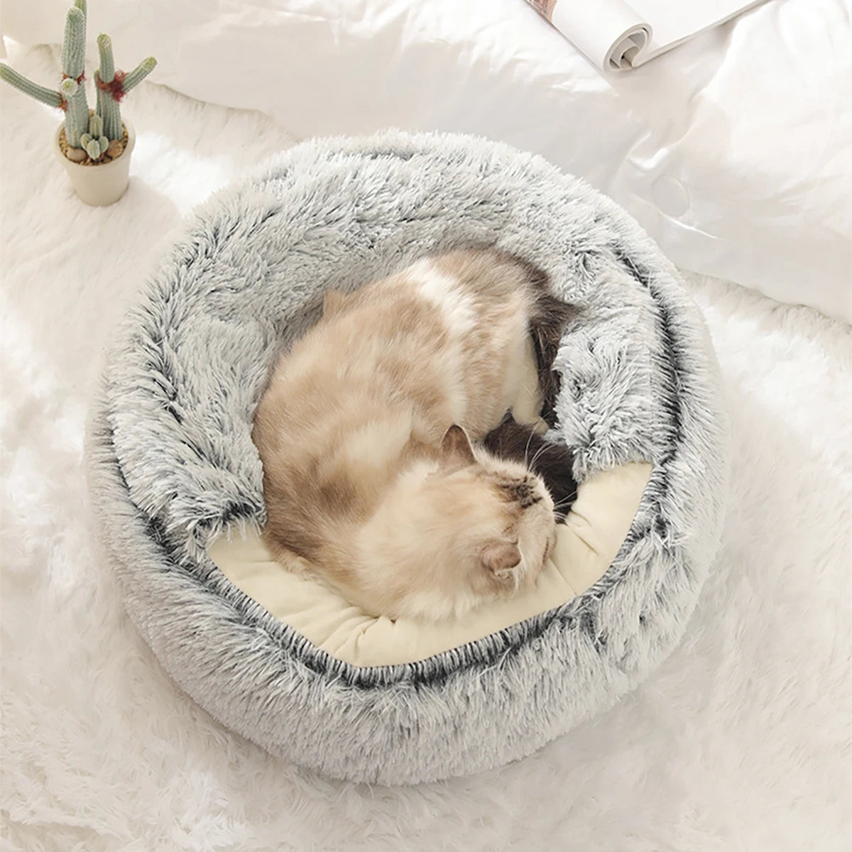 The Sanctuary Nest | Neural-Calm Feline Retreat